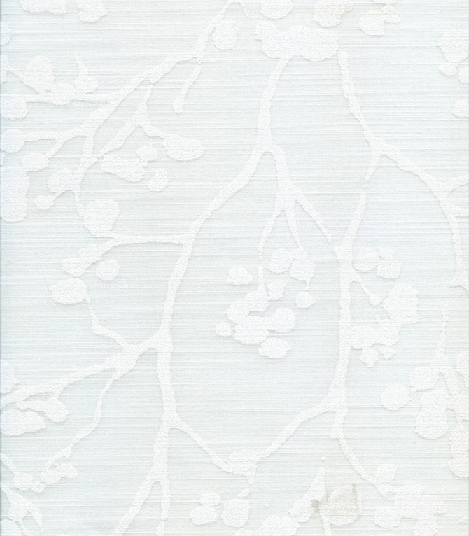 Day&Night Exclusiv variante exclusiv_2011.jpg